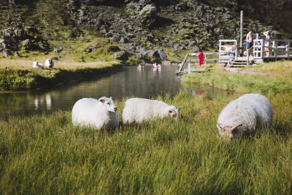 ICELAND
CLASSIC 1